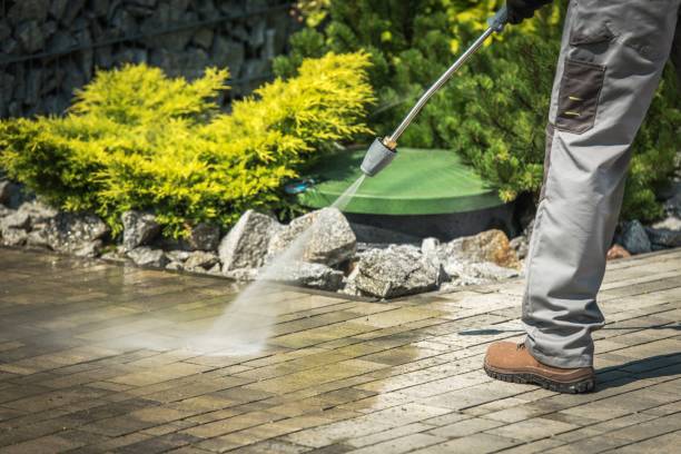 Best Roof Washing  in Double Oak, TX
