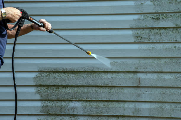 Best Graffiti Removal  in Double Oak, TX